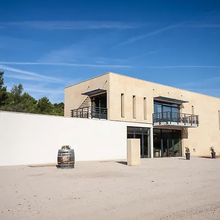 Au Coeur Des Vignes, Vue Sur Le Minervois